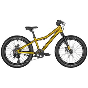 BICICLETA BERGAMONT BERGAMONSTER 20 PLUS BOY