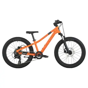 A Bicicleta SCOTT Roxter 200, com quadro compacto, rodas de 20", SunRace CSM40 11-34T de 8VL e Tektro HD-M276 Disc. Hidráulico.