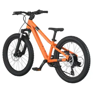 A Bicicleta SCOTT Roxter 200, com quadro compacto, rodas de 20", SunRace CSM40 11-34T de 8VL e Tektro HD-M276 Disc. Hidráulico.