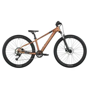 A Bicicleta SCOTT Roxter 600, com quadro compacto, rodas de 20", Shimano CS-HG400-8 11-40T 8VL e Tektro HD-M276 Disc. Hidráulico.