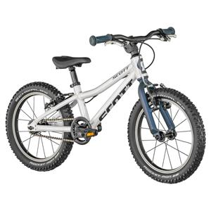 Scott scale 16 2025 2021