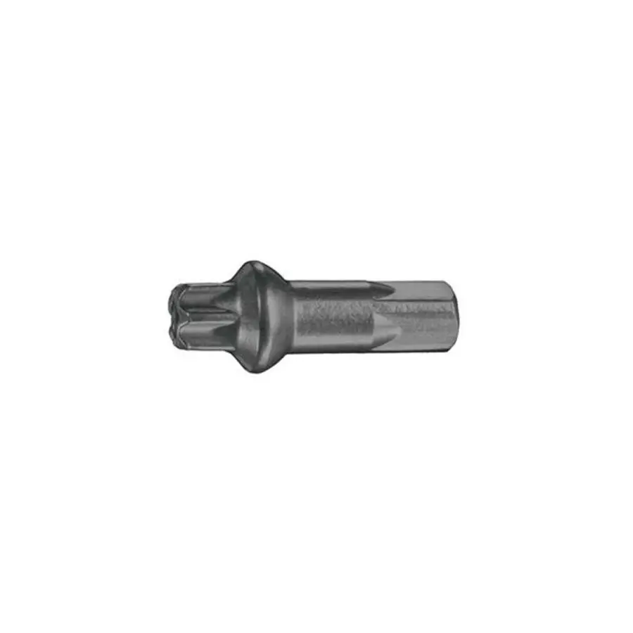 CABEÇAS DE RAIO ALU 2.0 X 15 TORX PROLOCK 100PC PRETO